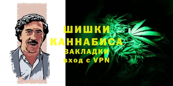 spice Алексин