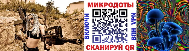 дарнет шоп  Алушта  Галлюциногенные грибы Psilocybe 